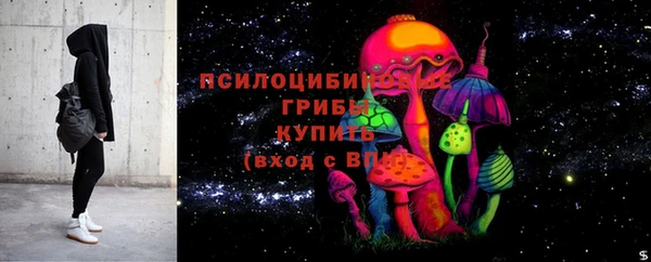 гидра Белоозёрский