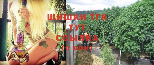 бошки Белокуриха