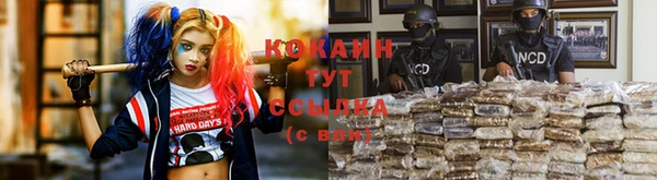 бошки Белокуриха