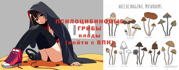 кокс Богданович