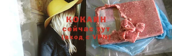 дживик Бронницы