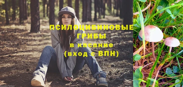 соль курить ск Богородицк
