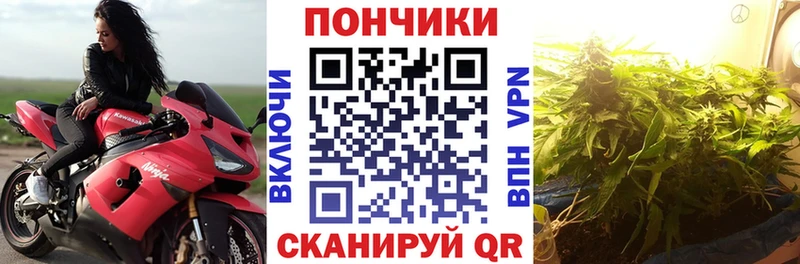 магазин  наркотиков  площадка клад  Бошки Шишки гибрид  Кимовск 